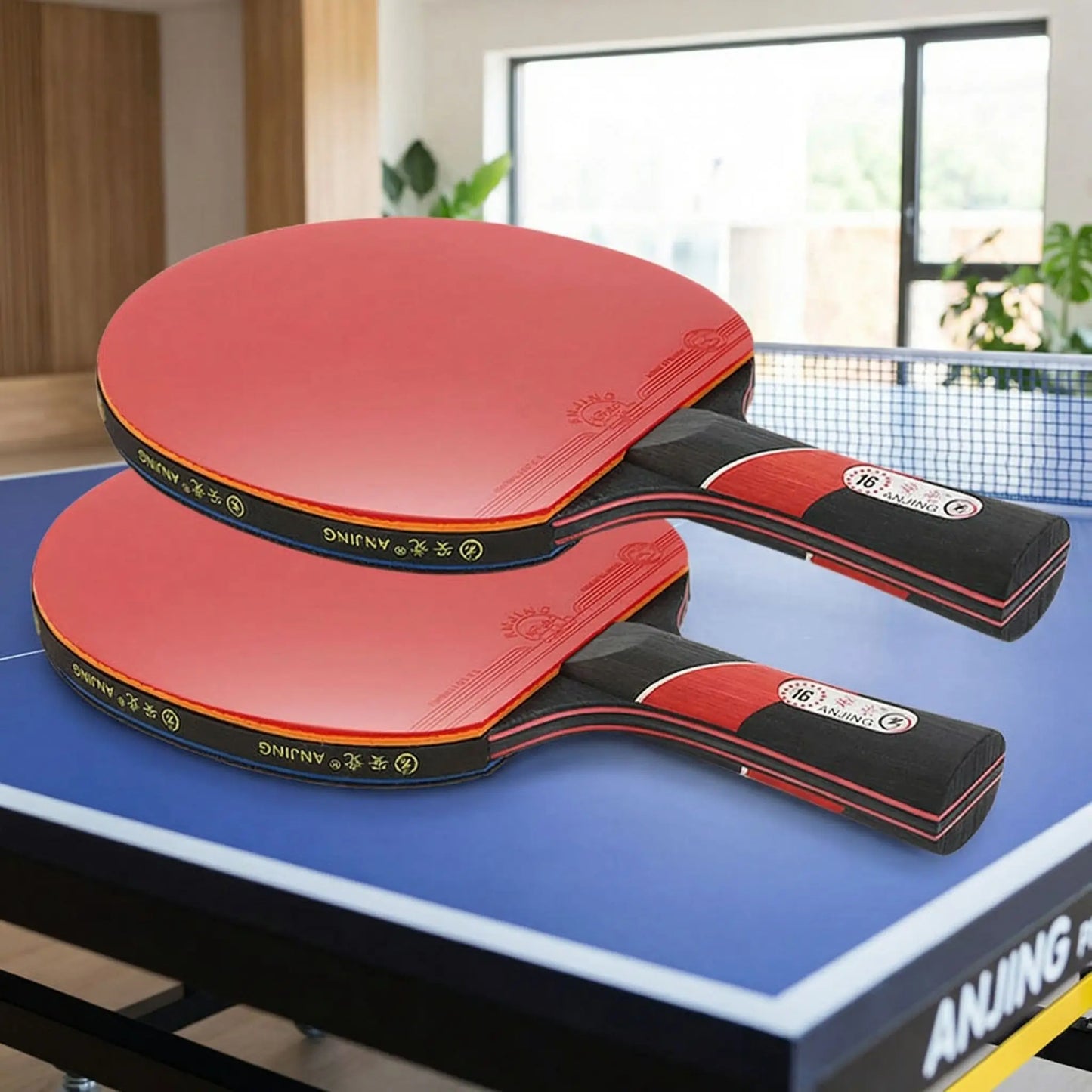 Raquettes de ping pong manche long x 2